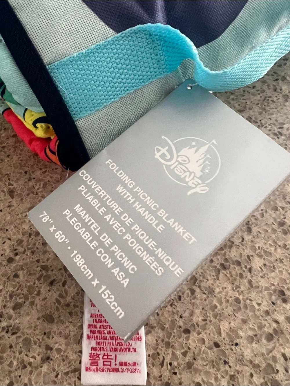 Disney  Folding Picnic Blanket - Aqua Teal Handle with Navy Trim